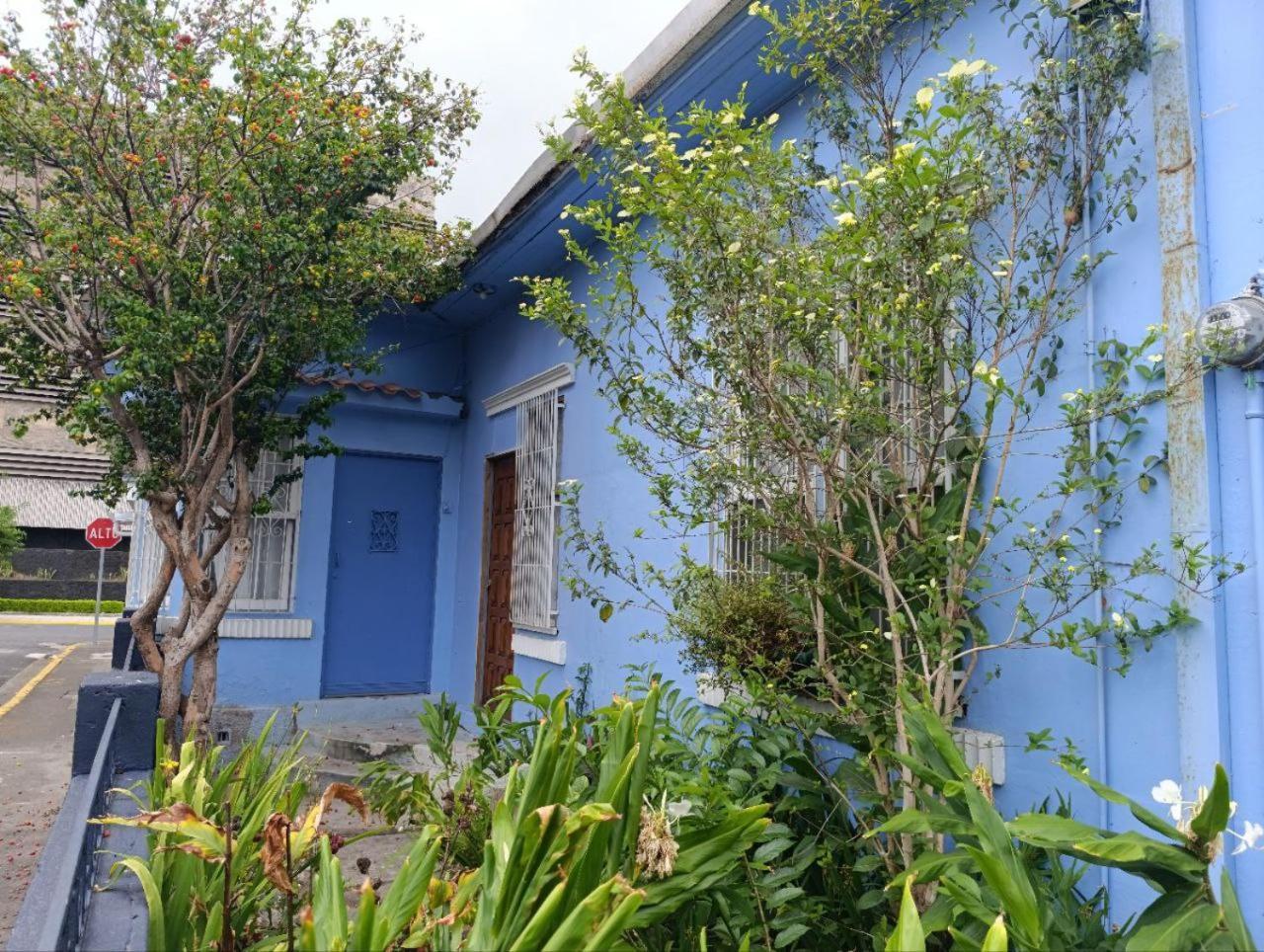 Hostel Casa Ridgway San José Zewnętrze zdjęcie